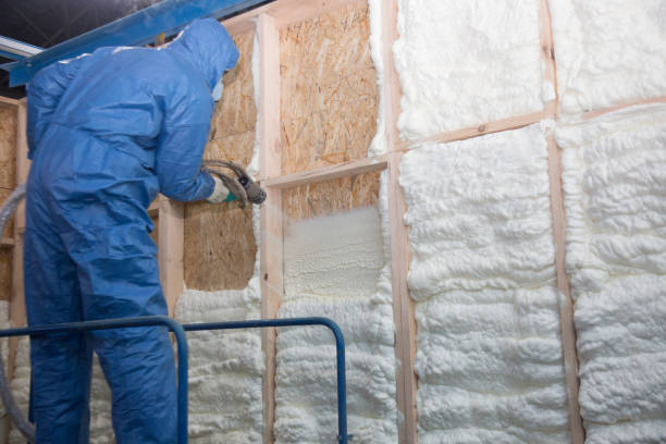 Best Eco-Friendly Insulation Solutions  in Marysville, CA